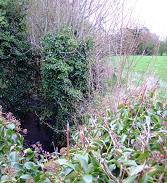 Source de la Boyne en Irlande