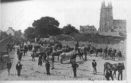 Carhaix: le Foire aux chevaux vers 1900