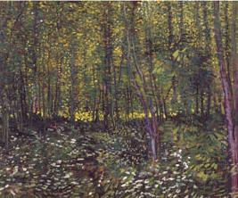Sous-bois par Vincent Van Gogh